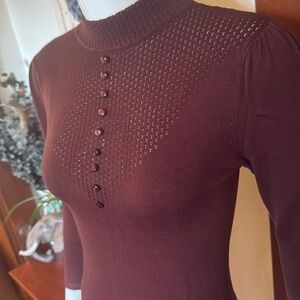 NWT Effies heart XS, Victorian root beer coloured stretchy pullover, Elegant Top